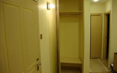 Одностворчатый шкаф 4
