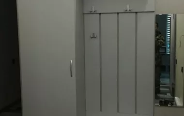 Одностворчатый шкаф 2