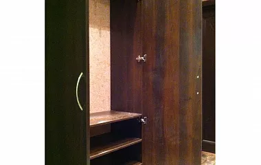 Одностворчатый шкаф 1